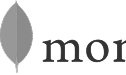 A gray leaf-shaped icon is positioned next to the dark gray letters "mor" in a serif font, set against a transparent background.